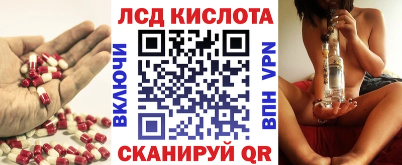 blacksprut как войти  Шали  Лсд 25 экстази ecstasy 