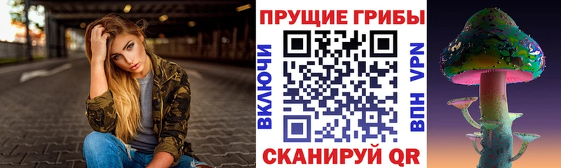 Псилоцибиновые грибы Psilocybe  Шали 